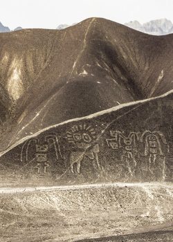 La Familia Real Paracas