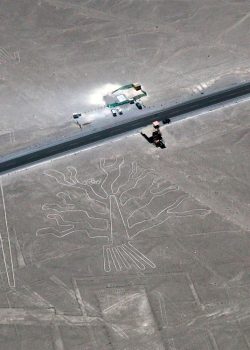 Lagarto Lineas de Nasca