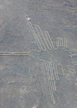 Los Colibri de Palpa