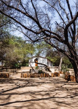 Santuario Histórico Bosque de Pómac