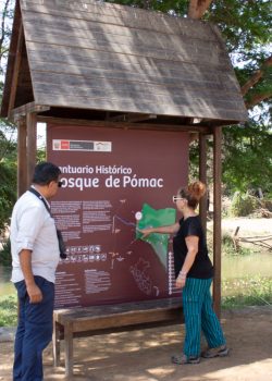 Santuario Histórico Bosque de Pómac
