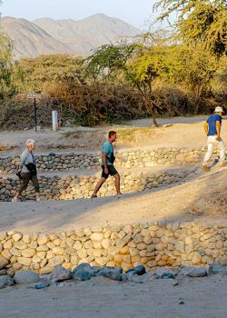 iTour Acueductos de Cantalloc