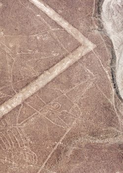Nazca,Lines,Whale,Geoglyph,In,Peru