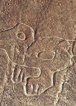 lineas nazca bebe condor