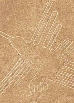 lineas nazca colibri