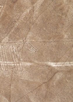 Nazca,Lines,Dog,Geoglyph,In,Peru